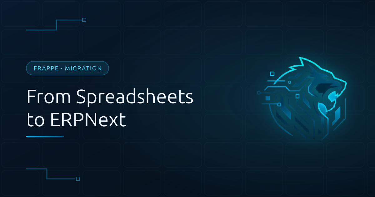 From Spreadsheets and Paper to ERPNext: The Migration Checklist I Used for a Municipality